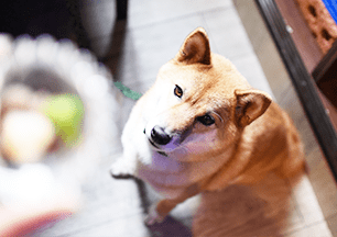 塩分を控えた食事