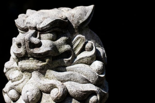 スキンシップで歯周病 院長コラム ごとふ動物病院 スキンシップで歯周病 院長コラム ごとふ動物病院
